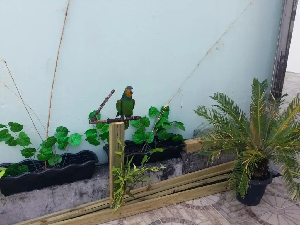 Beira Mar Hostel