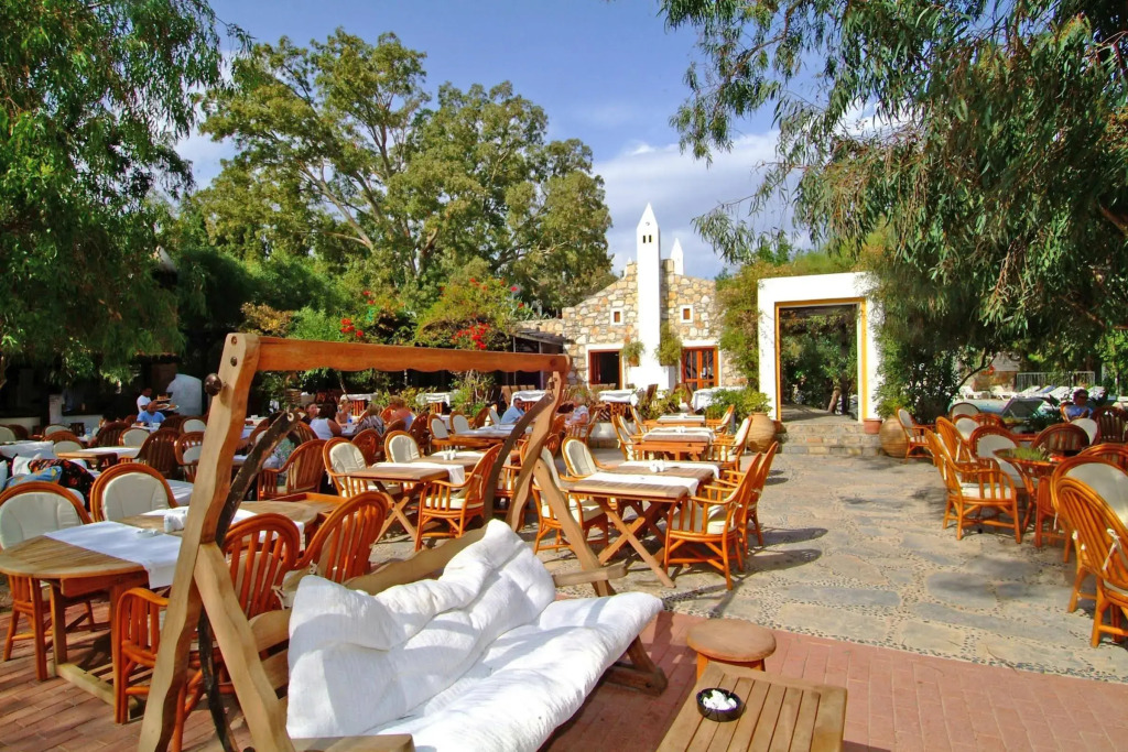 Okaliptus Otel