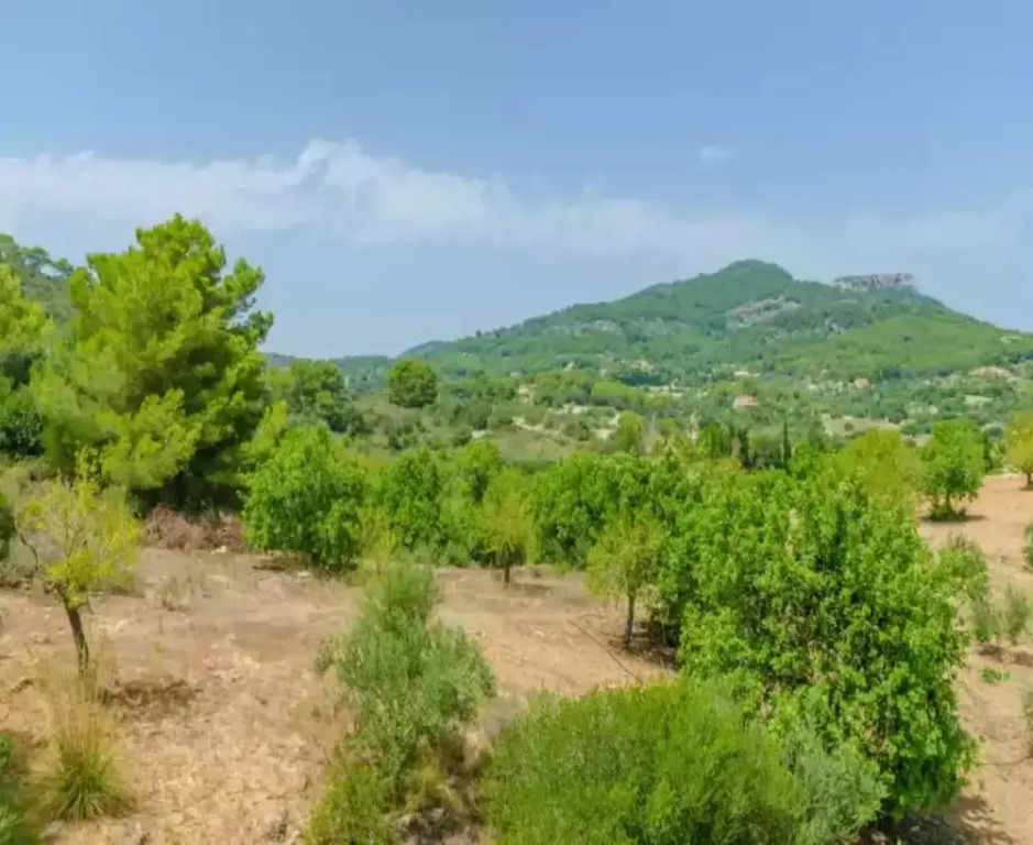 Es Turo De Franca - Villa With Private Pool