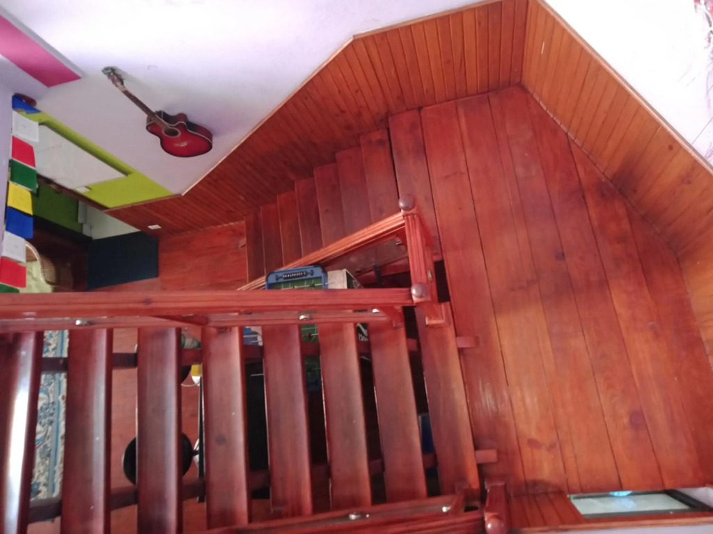 Monkey Bunky-3Monkeys Backpackers Hostel