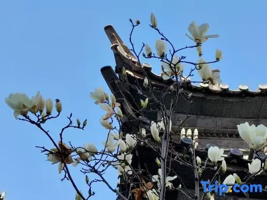 Mengyuxuan · Zhenhai Garden Impression Resort Homestay (Erhai Ecological Corridor Branch)