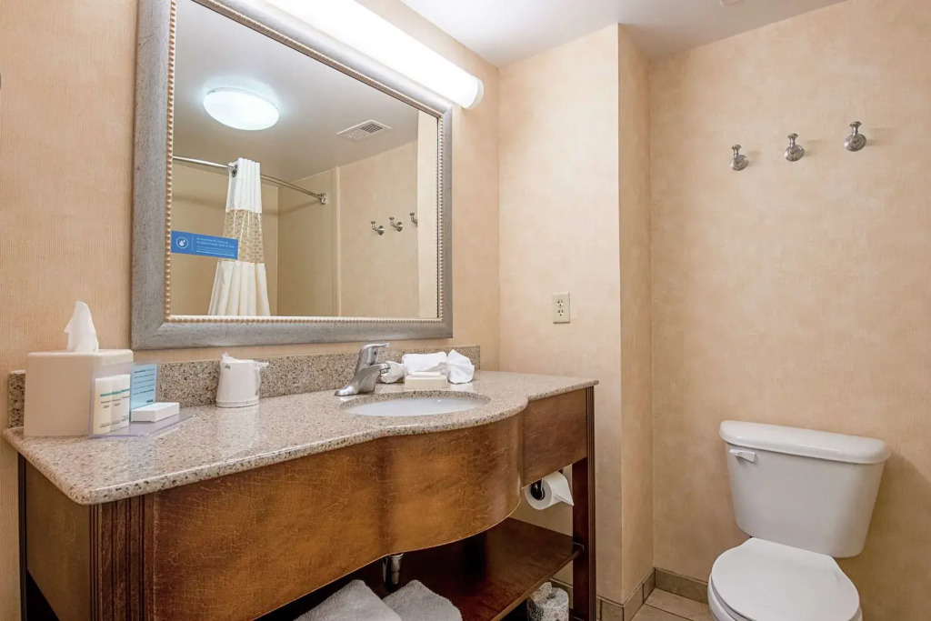 Hampton Inn Pine Grove