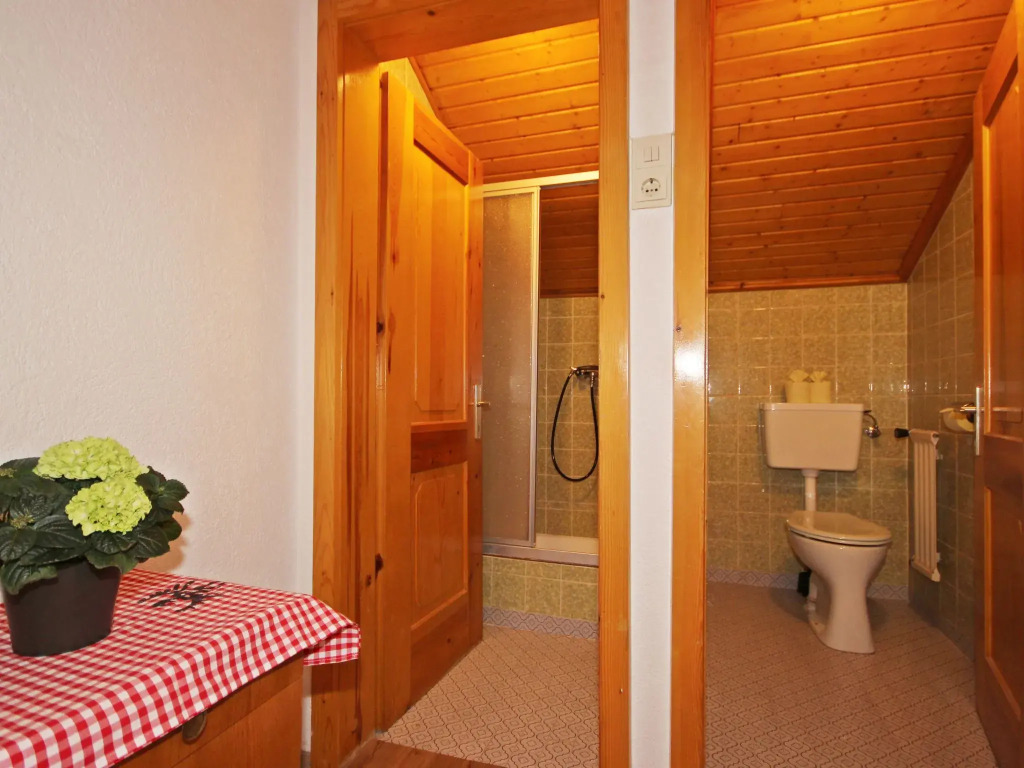 Apartment Schmittnhof by Interhome