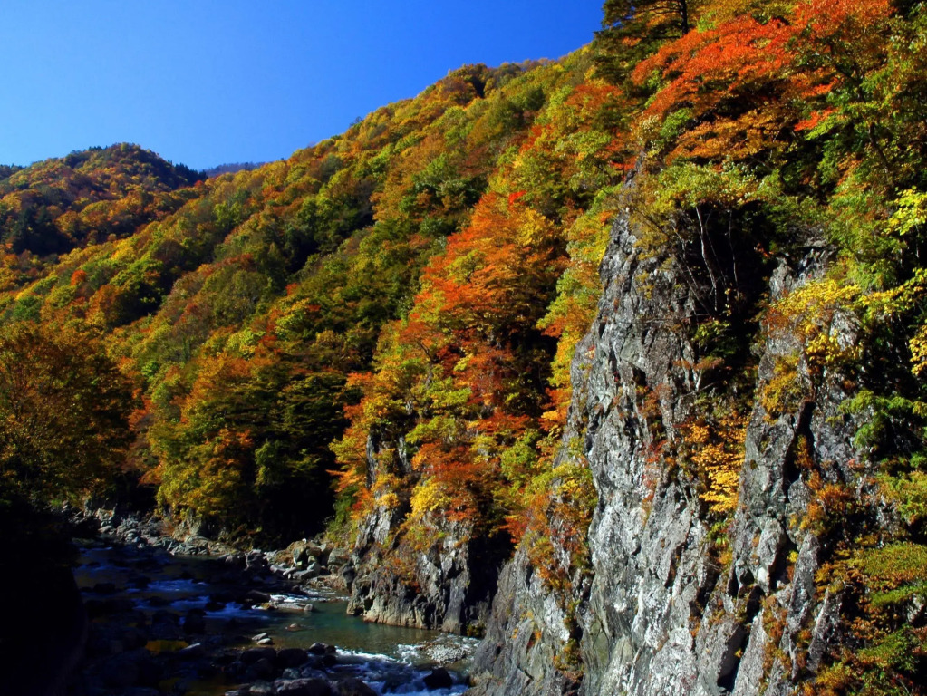 Echigotanaka Onsen Shinanoso