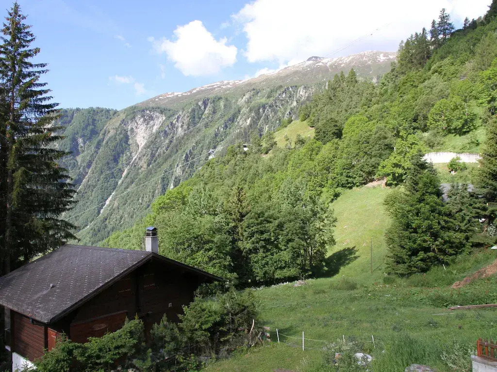 Glacier Views & Ski Trails