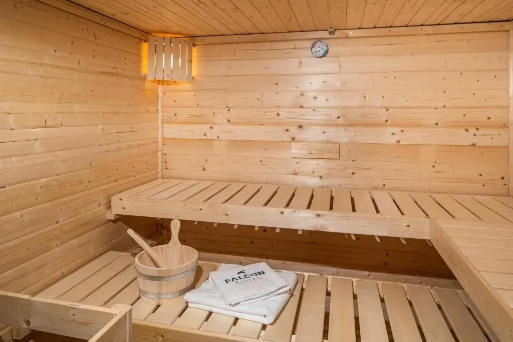 Falcon Suites Kaprun - Summercard included