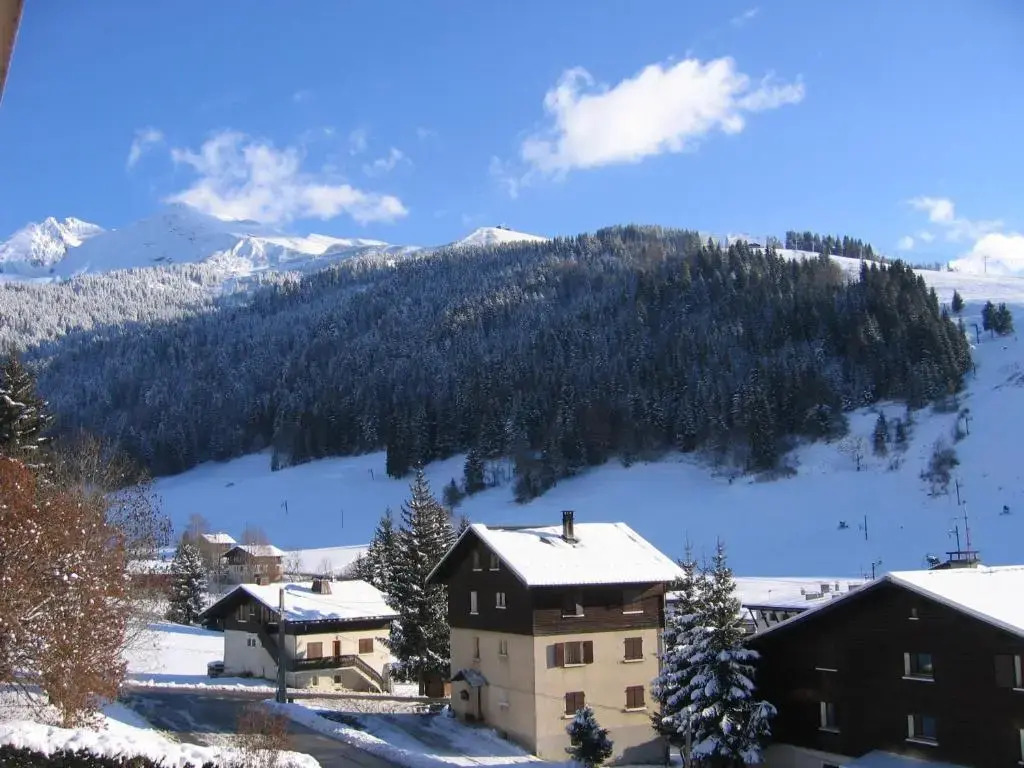 Appartement La Clusaz, 1 pièce, 4 personnes - FR-1-437-11