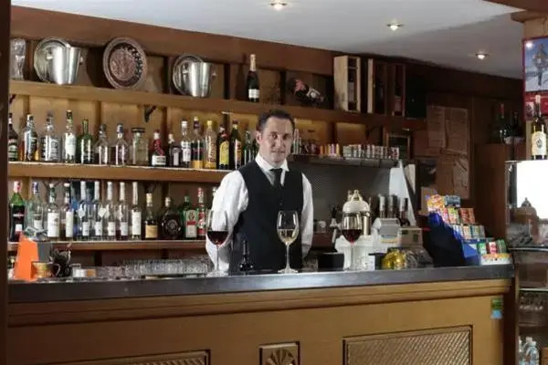 Hotel Alpino Plan