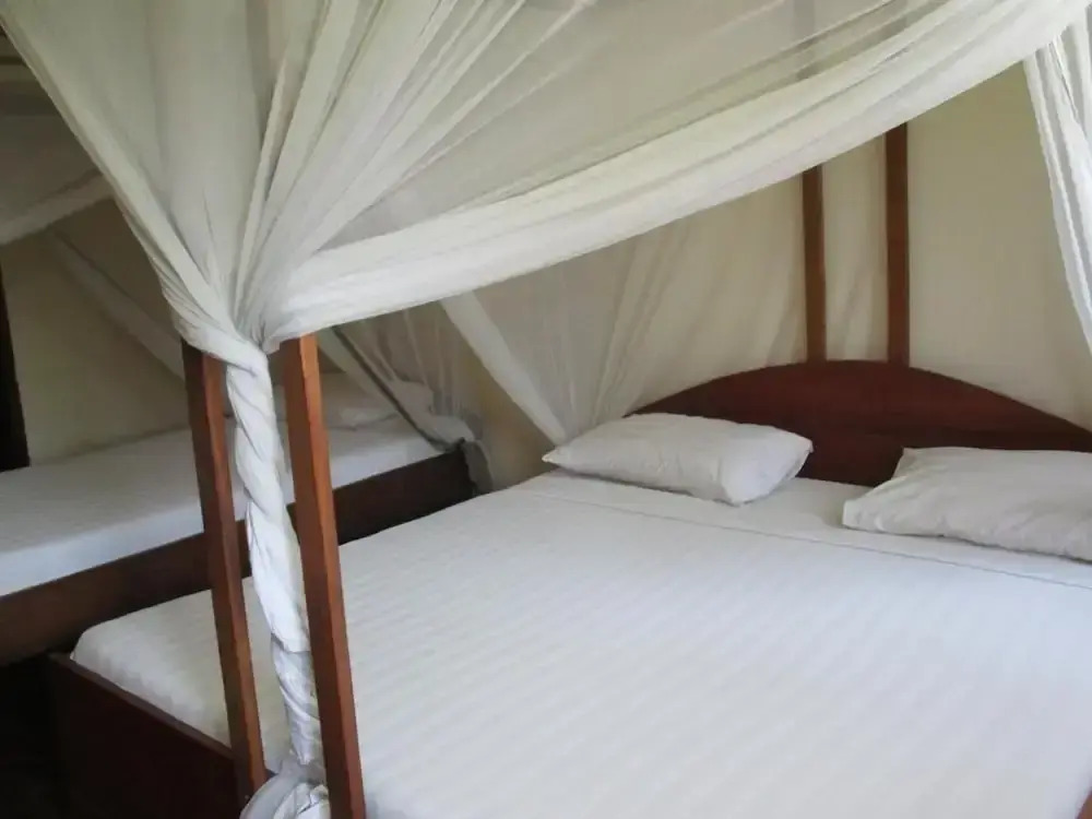 Abuso Inn