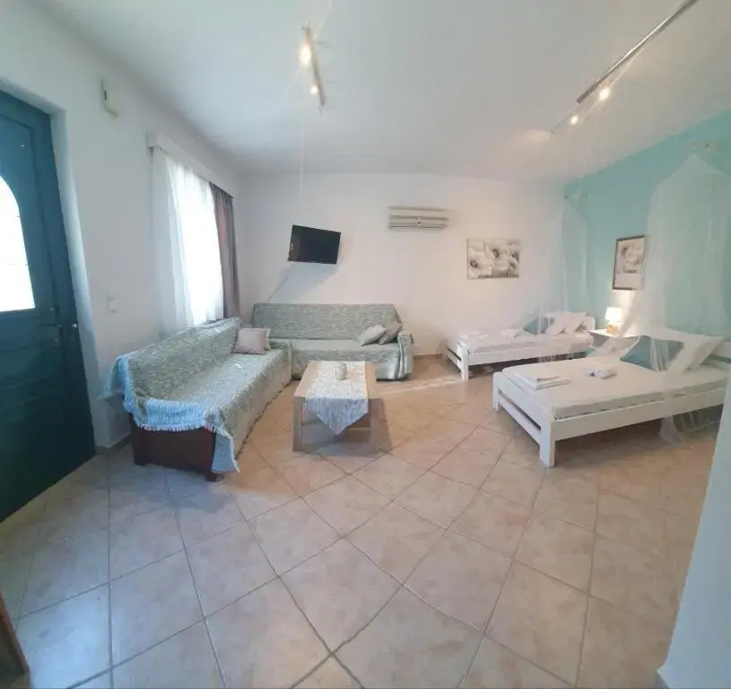 Vivis house
