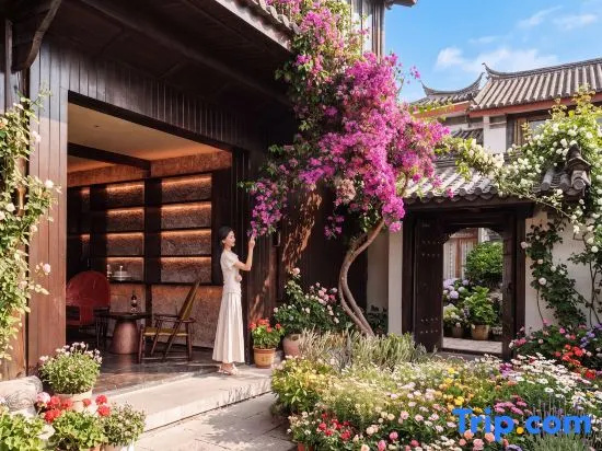 Moland Songs Aesthetic Homestay