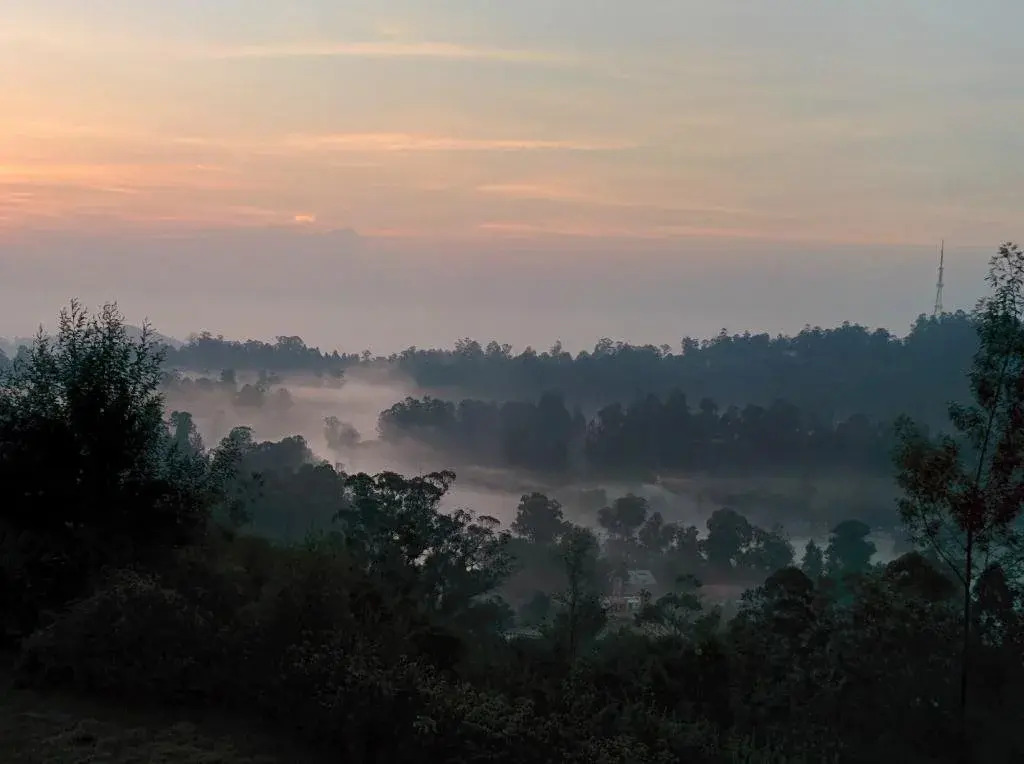 Surya Holidays Kodaikanal