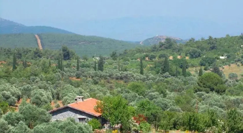 Dirim Guesthouse