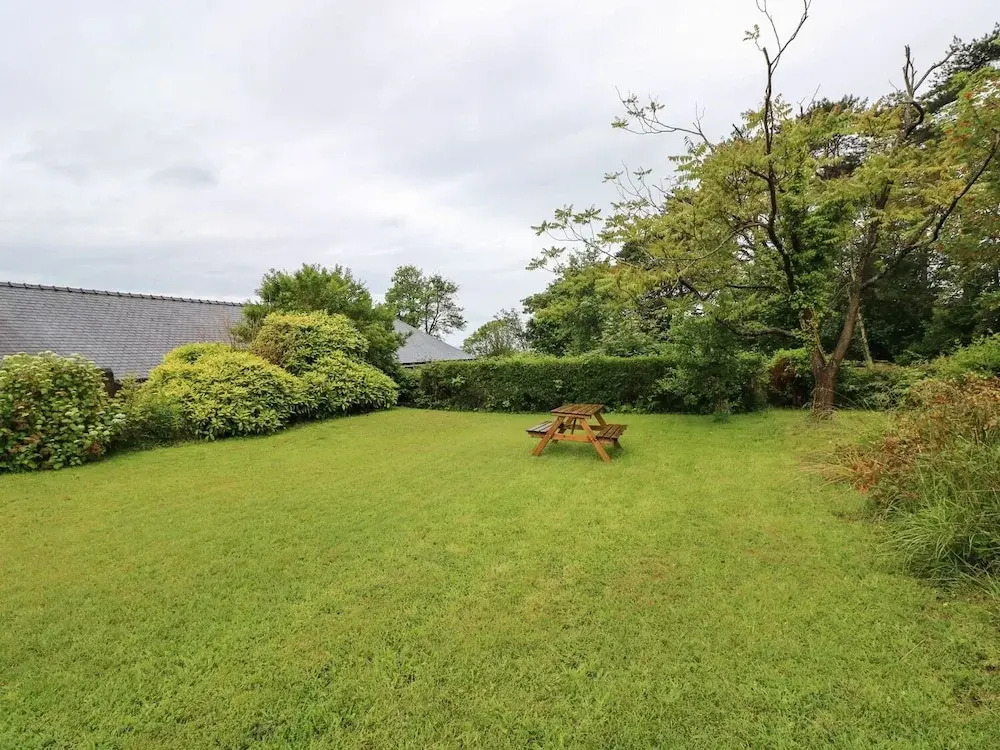 Cefn Goleu