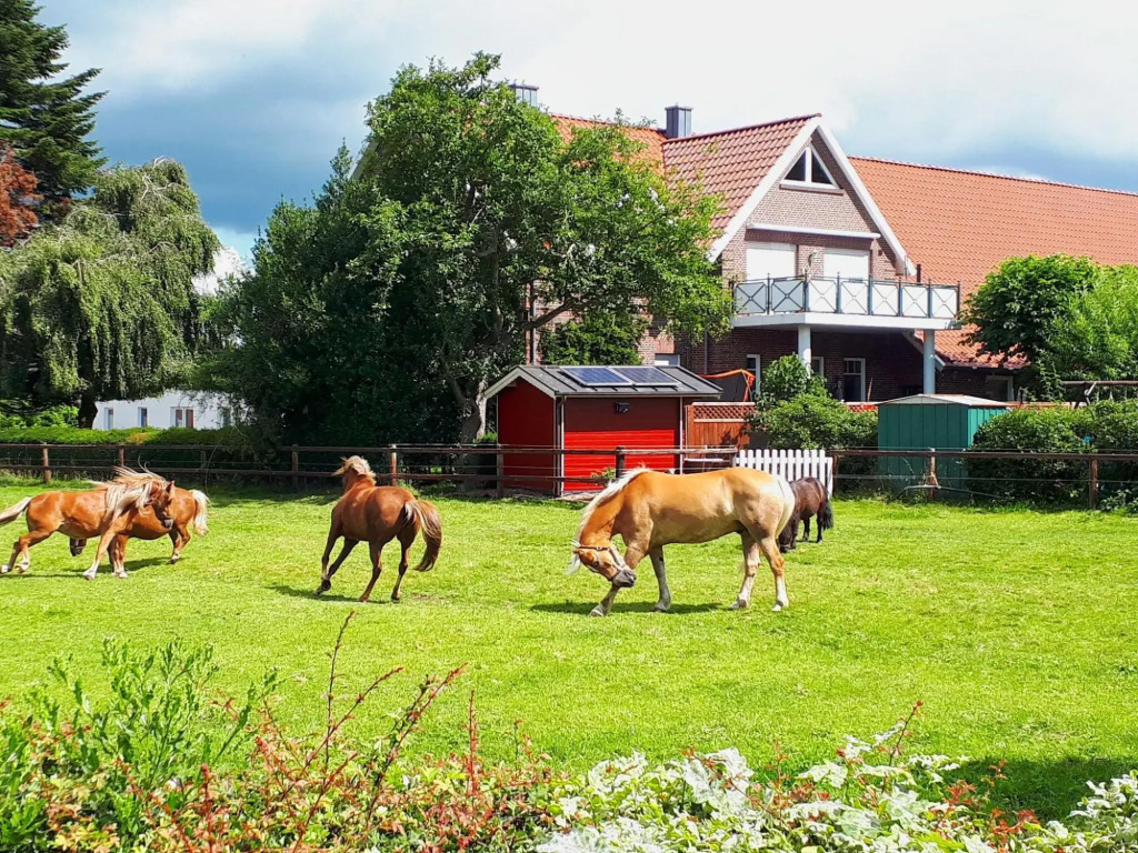 Reihenhäuser in Strackholt