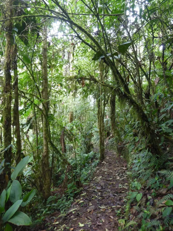 Santa Lucia Ecolodge