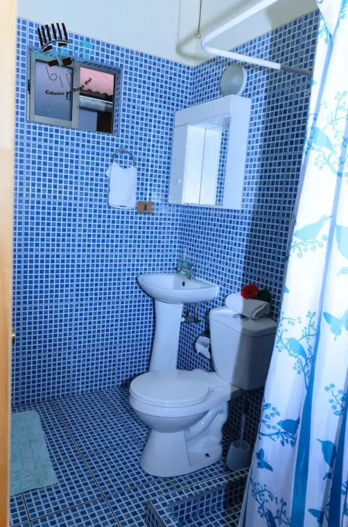 Hostal y Cabañas Aorangi
