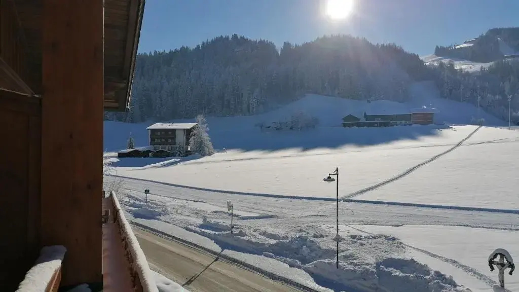Pension Alpina