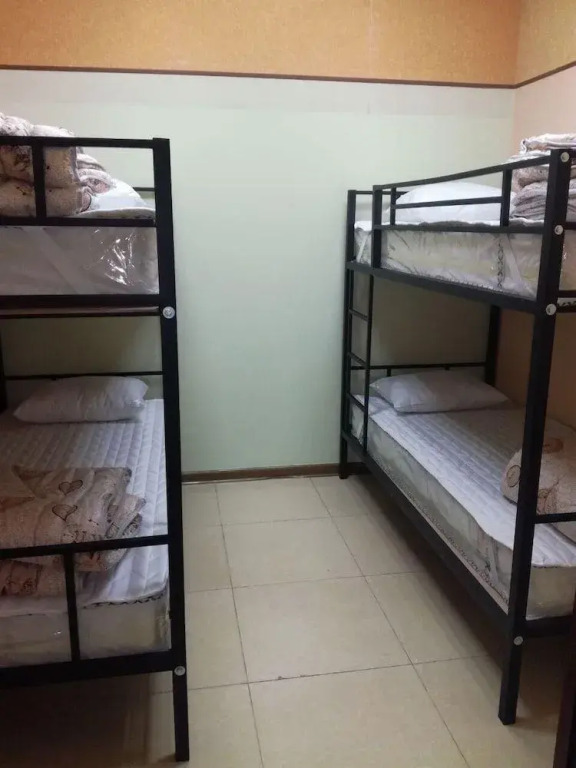 Shelter Hostel