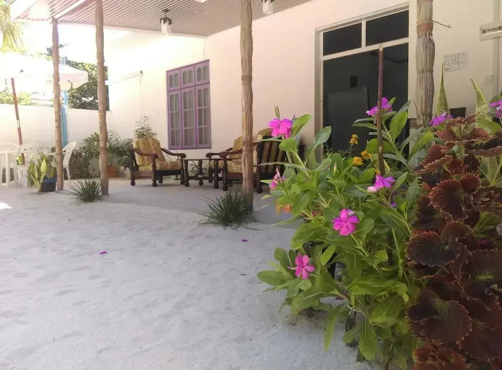 Palm Garden
