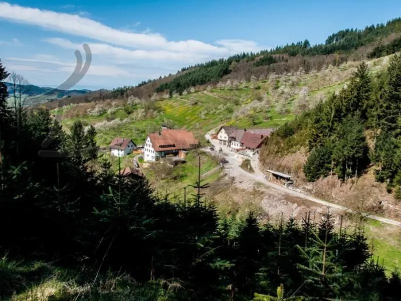 Vogthof