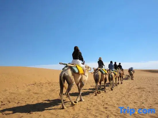 The desert camping hotel of the proprietress of Shapotou, Zhongwei