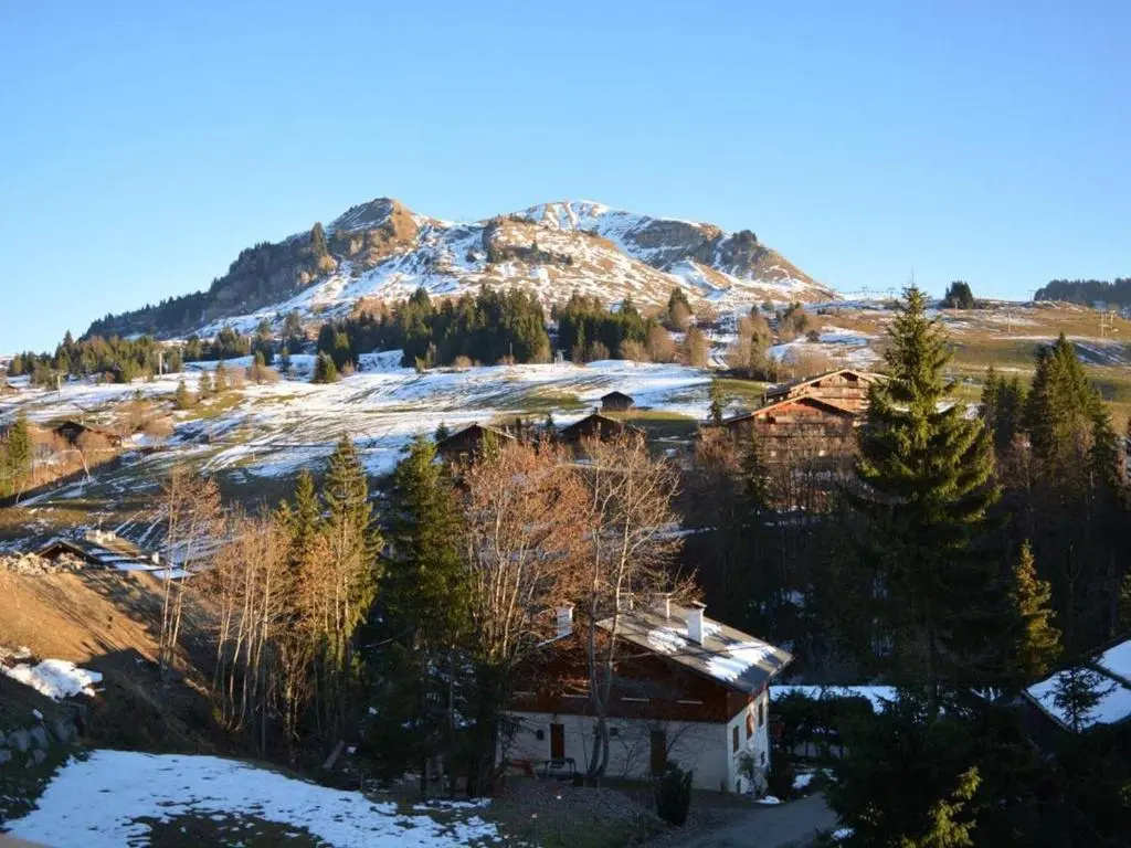 Appartement Le Grand-Bornand, 1 pièce, 4 personnes - FR-1-241-107