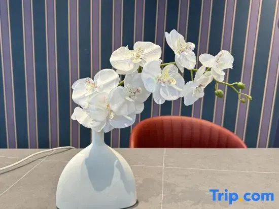 Shenyang Lijing Qingya Hotel ( Gliding Shengjing Hospital Wanda Plaza)