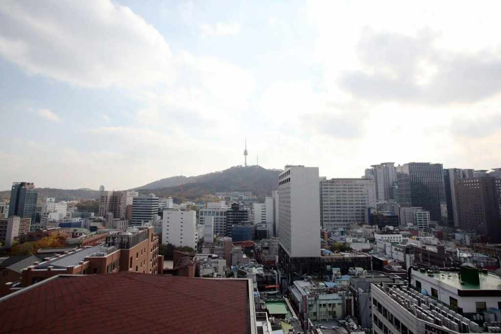 Ekonomy Hotel Myeongdong Central