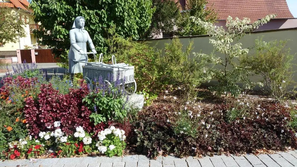 Au Cygne