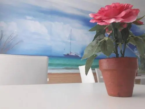 Tiburtina Hotel Holiday