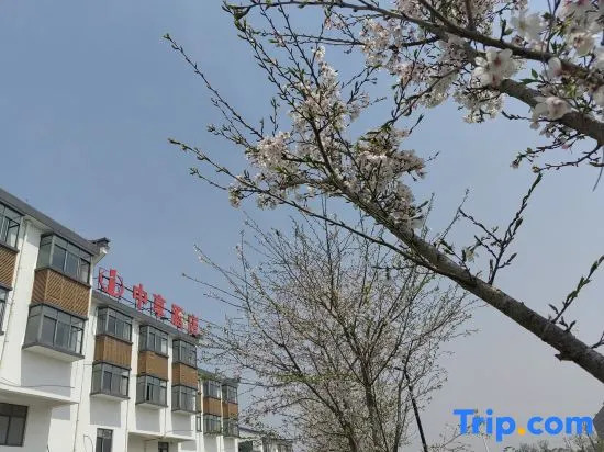 Zhongxiang Hotel (Jiashan Xitang Branch)