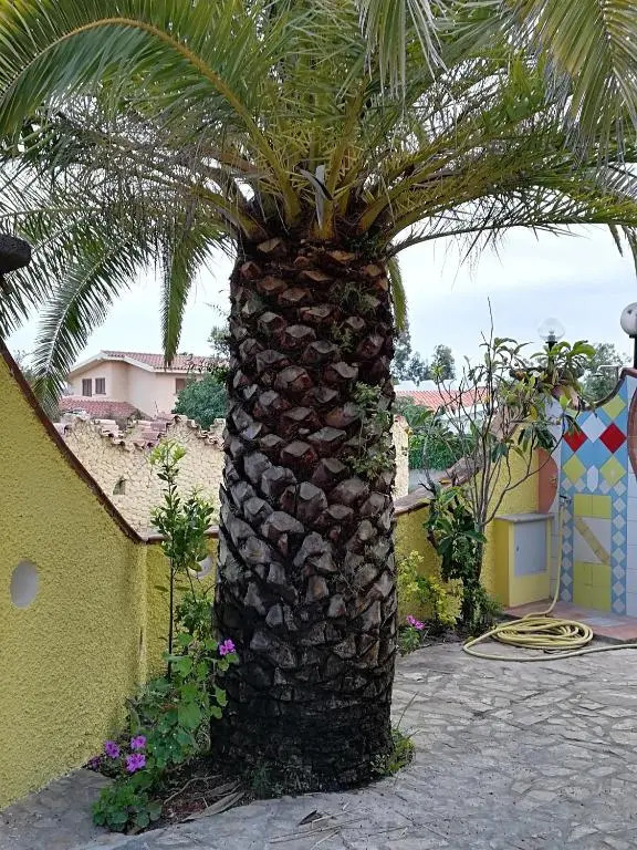 Casa Bandinu