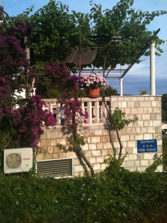 Apartments Jany