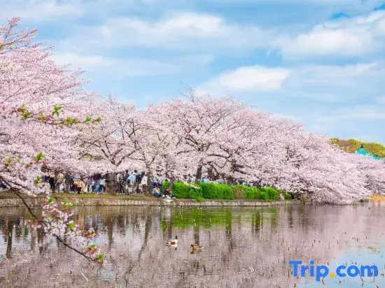 New/Ueno station 7min walk/Inarimachi station 2min/max 8 people/Ginza Asakusa area