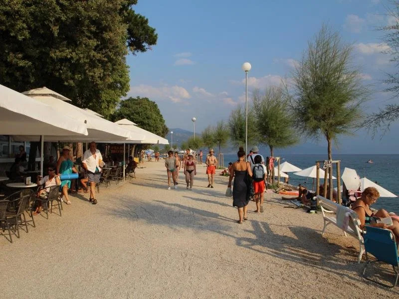 Pansion Ruža