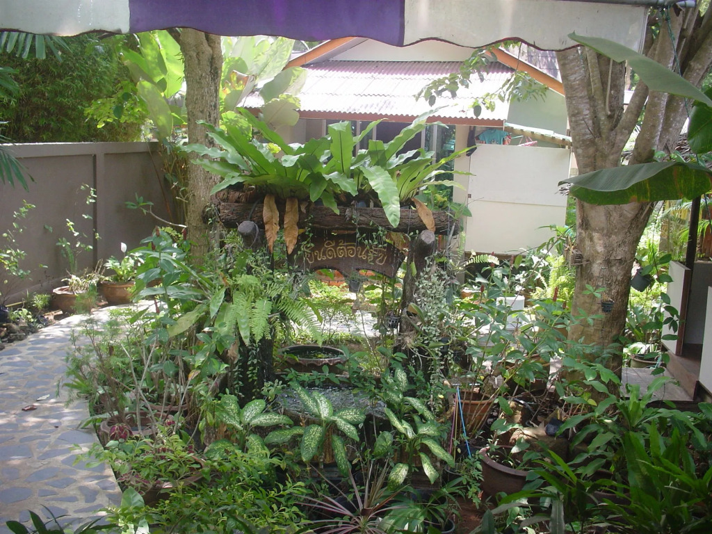 Faye Orchid Garden Resort