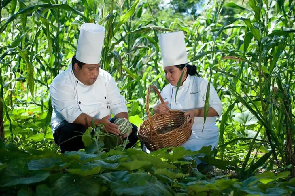 Hacienda Chichen Resort and Yaxkin Spa