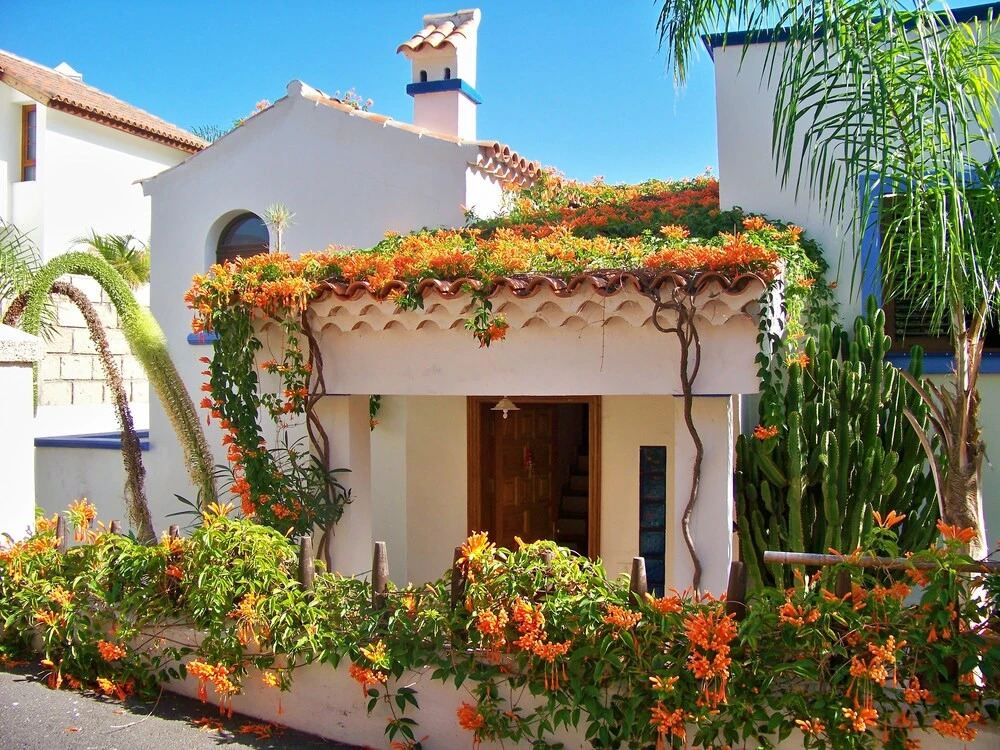 La Tortuga Hostel