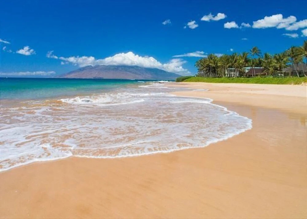 Palms at Wailea 1606 - Two Bedroom Condo