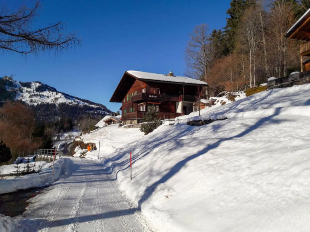 Chalet Helene Wengen 22724