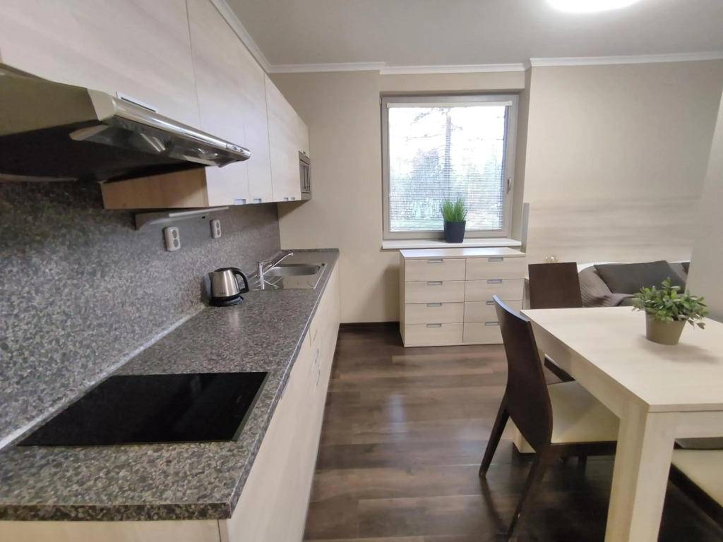 MULTIMEDA APARTMENT - PlayStation 5 plus games, O2 TV, Netflix, Disney, Amazon Prime