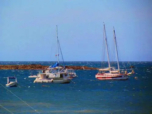 Tamarindo Beach For Rent Condo 206