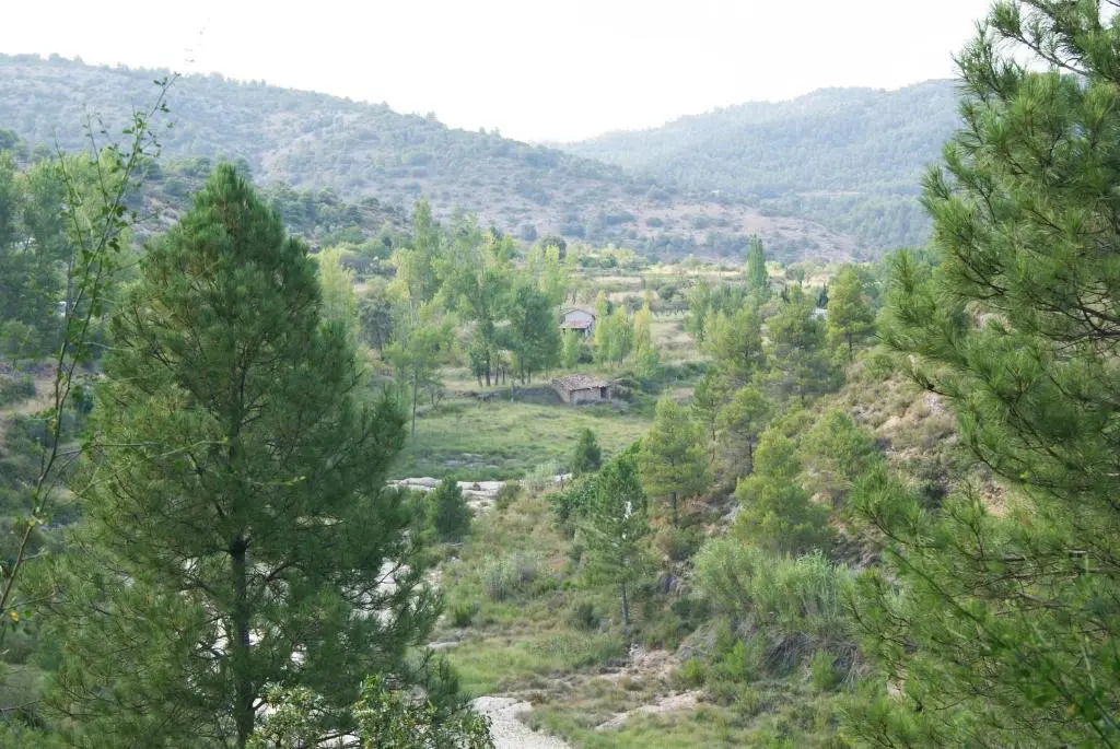 Apartamentos Doña Candida