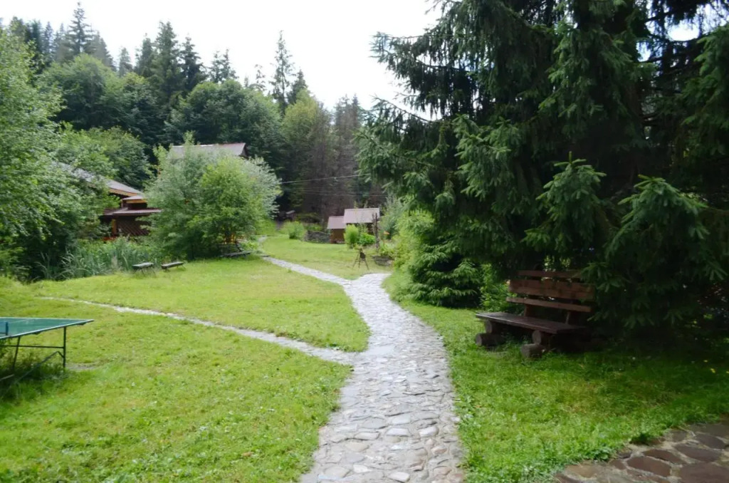 Zarinok