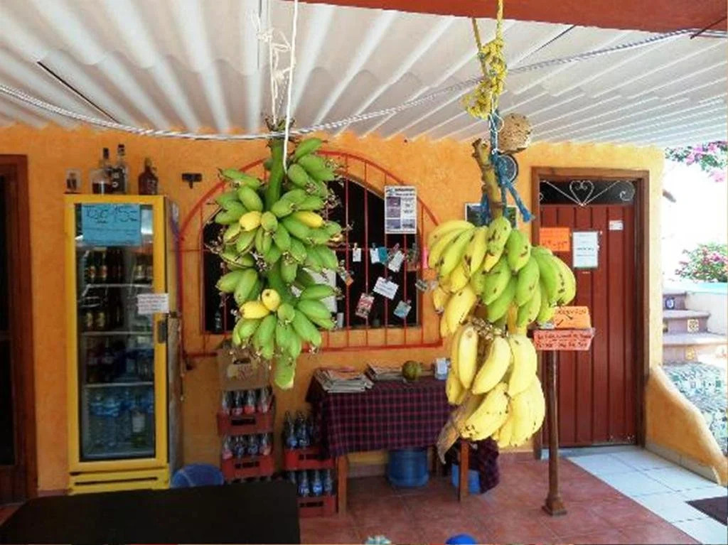 HOTELITO SWISS OASIS, Playa Zicatela