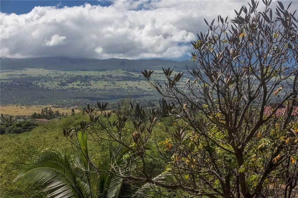 Maui Banyan H407 - One Bedroom Condo with Ocean View