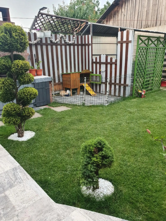 Vila alex