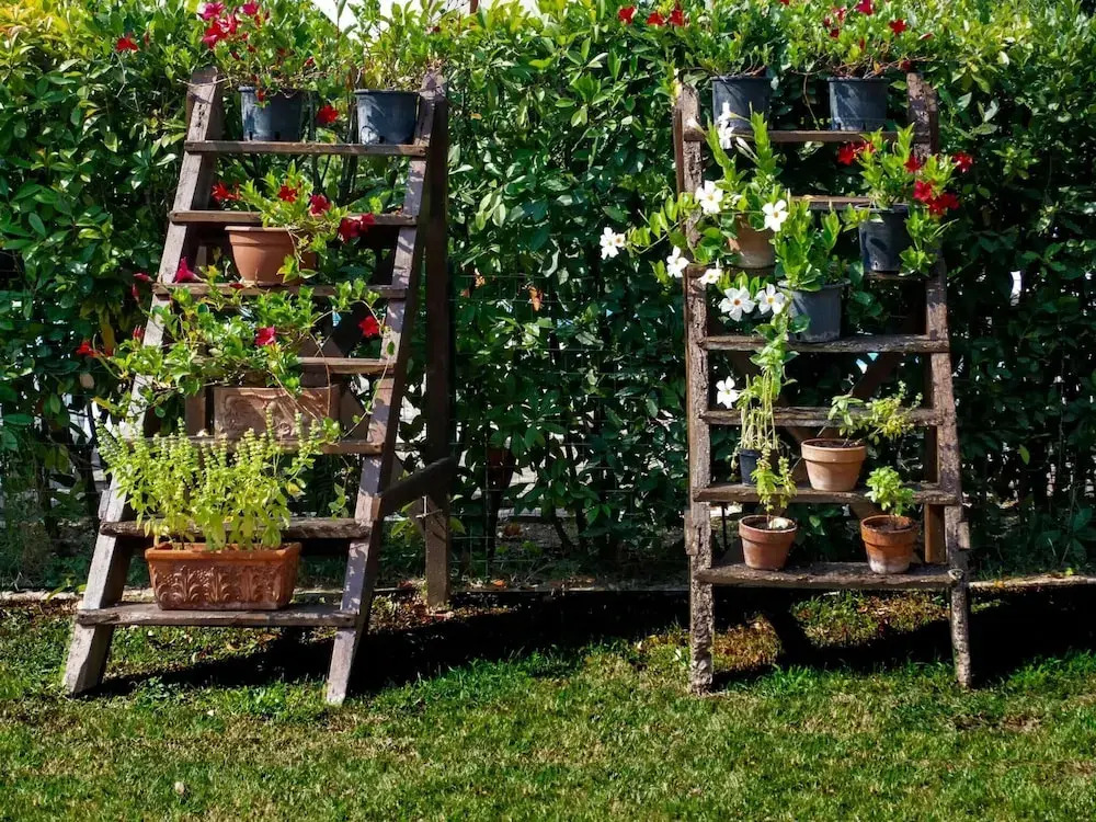 Apartment Near Pisa With Pool and Garden