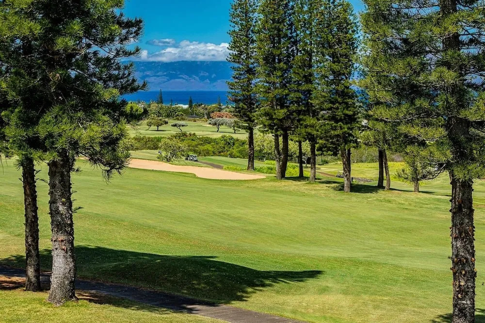 Kapalua Golf Villas 15p5-6 2 Bedroom Condo